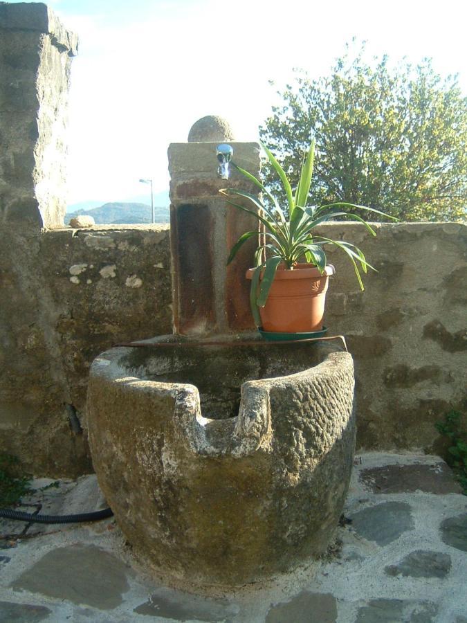 Il Casale Di Rolando Apartment Castiglione di Garfagnana Exterior photo