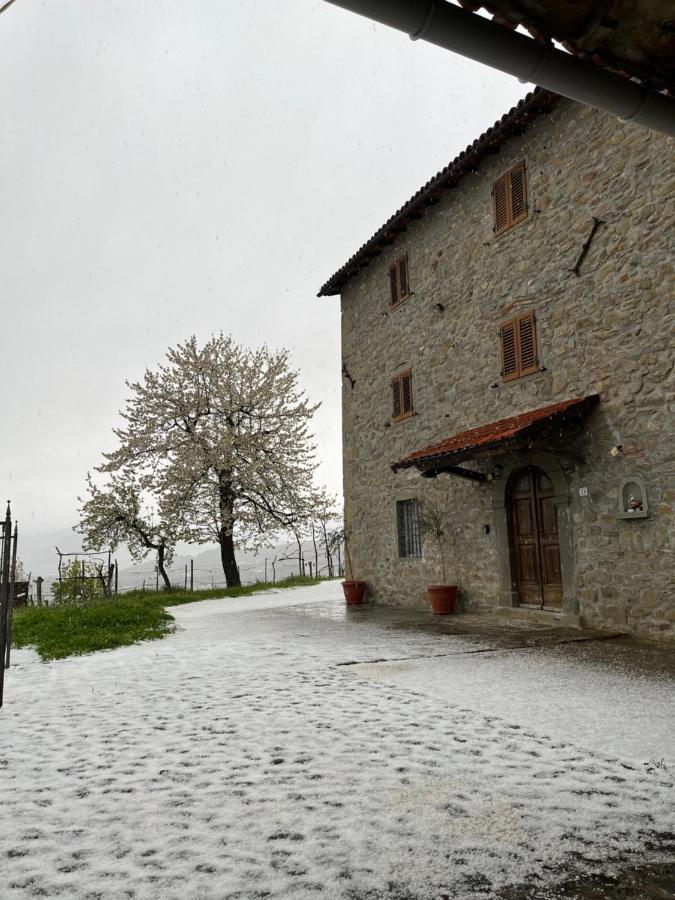 Il Casale Di Rolando Apartment Castiglione di Garfagnana Exterior photo